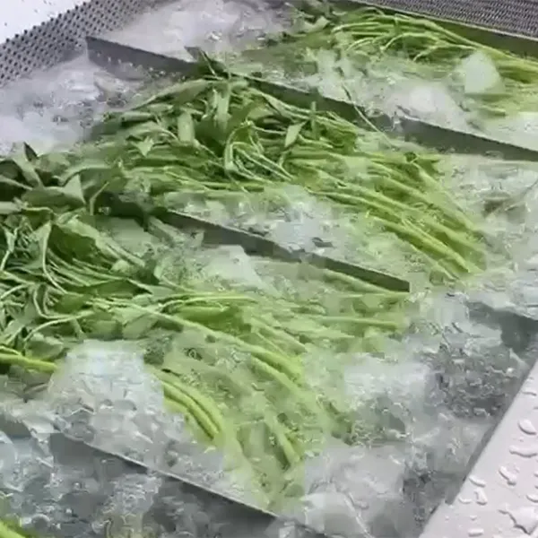 Máy rửa công nghiệp