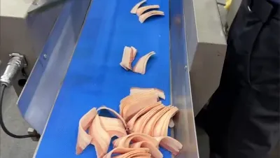 Máy thái thịt đông lạnh, DRB-21KC