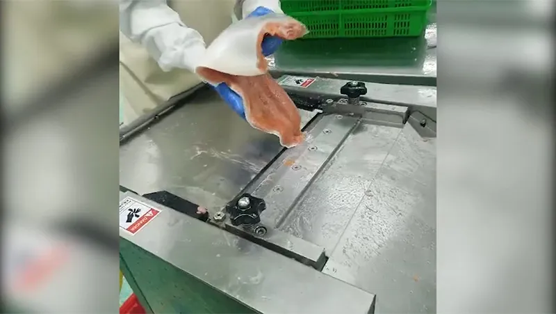 Máy tách da cá tự động, DRB-Y400