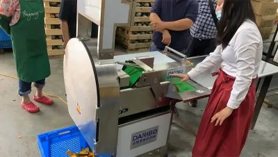 Máy thái rau củ quả đa năng, DRB-306