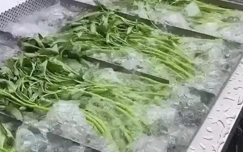 Máy rửa trái cây và rau củ
